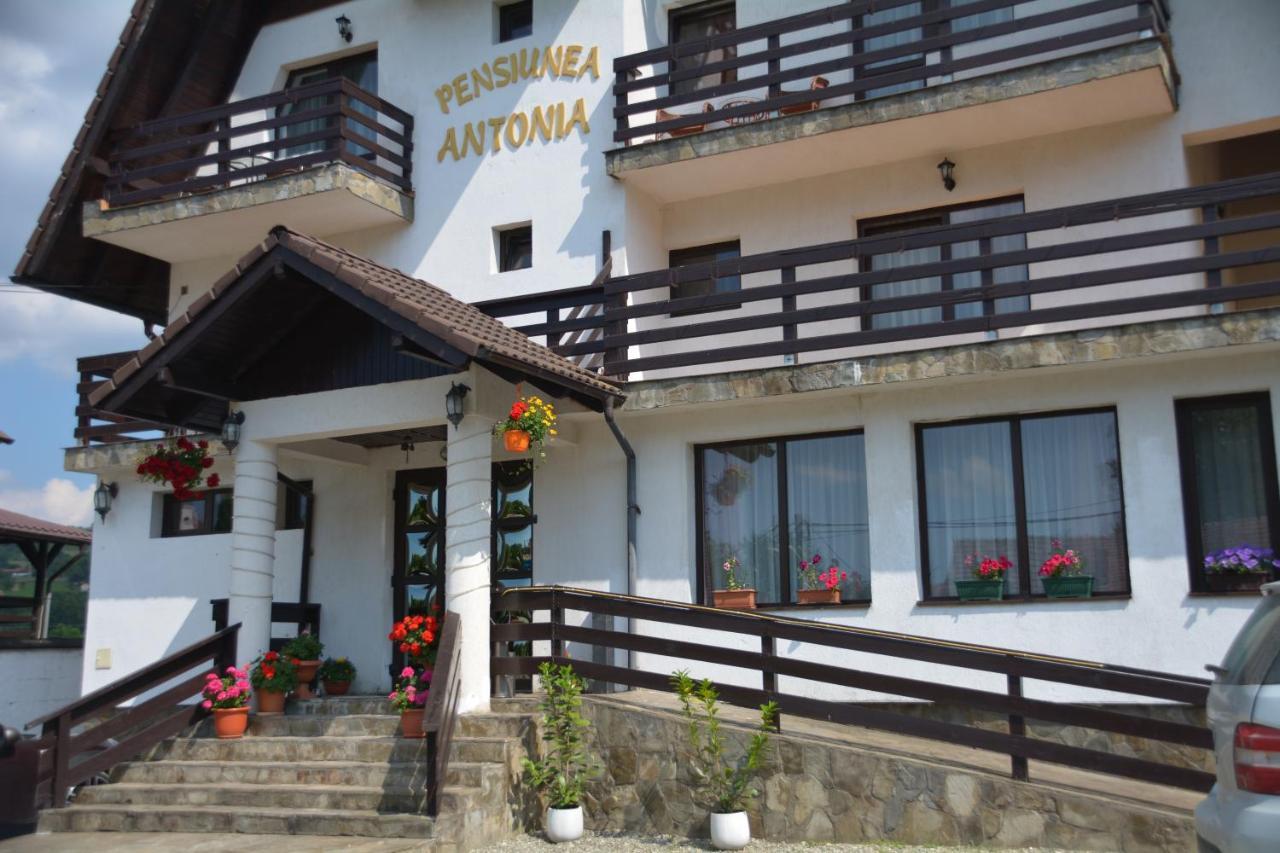 Pensiunea Antonia Bran  Exterior foto