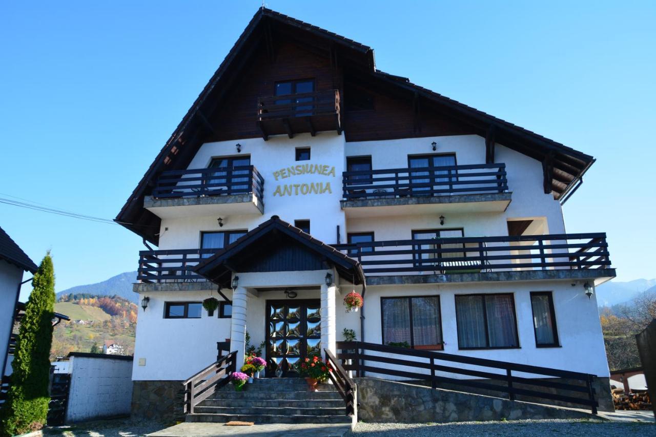 Pensiunea Antonia Bran  Exterior foto