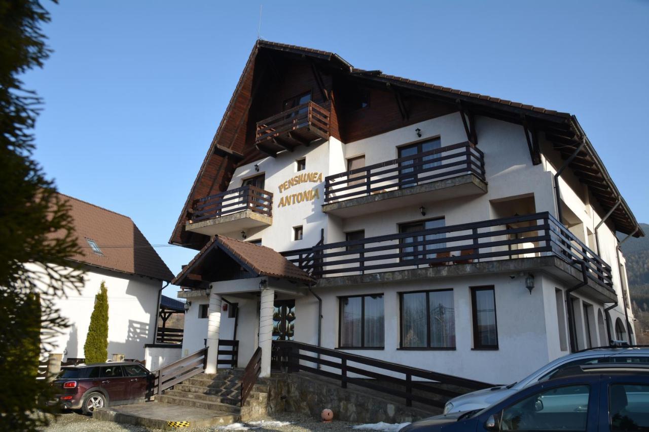 Pensiunea Antonia Bran  Exterior foto