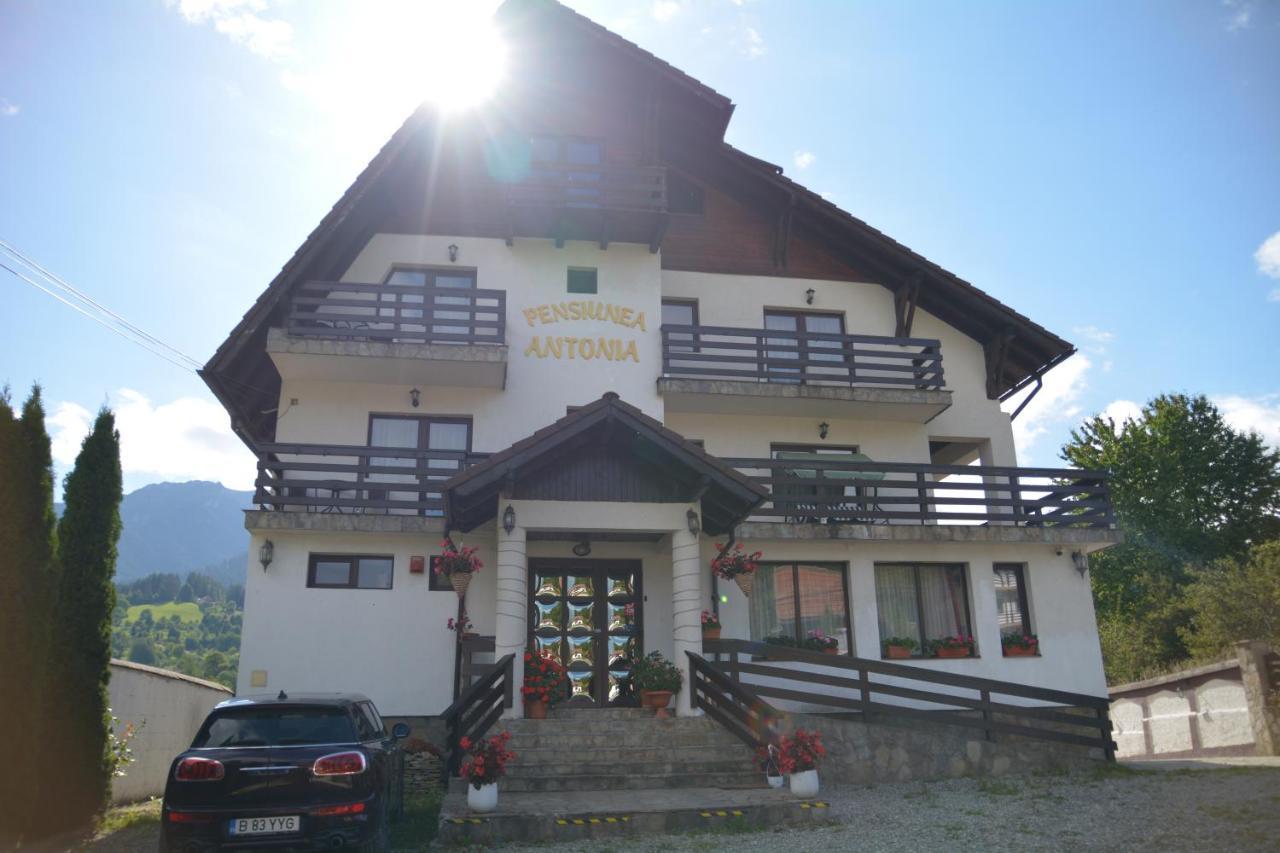 Pensiunea Antonia Bran  Exterior foto